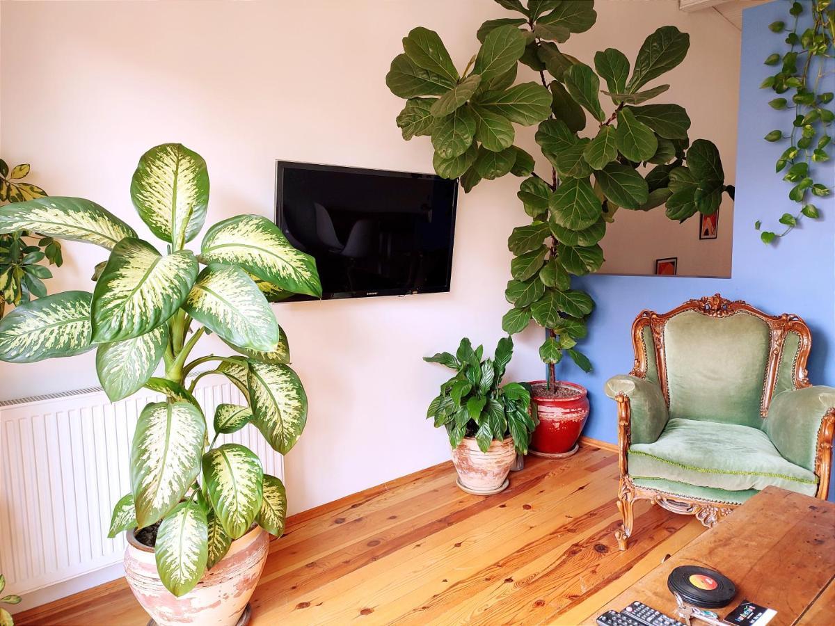 Apartament Kunterbunt Stambuł Zewnętrze zdjęcie